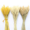 Dekoratives Weizenbündel CORNi - in drei schönen Farben